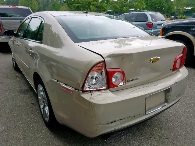 1G1ZH57B59F101851 - 2009 CHEVROLET MALIBU 1LT TAN photo 3