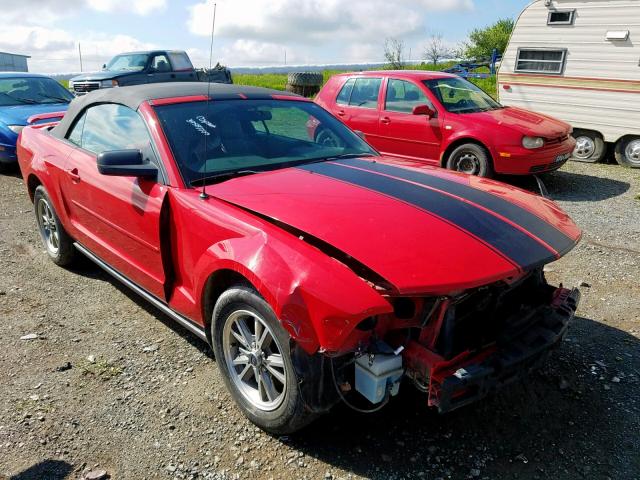 1ZVFT84N355199994 - 2005 FORD MUSTANG RED photo 1