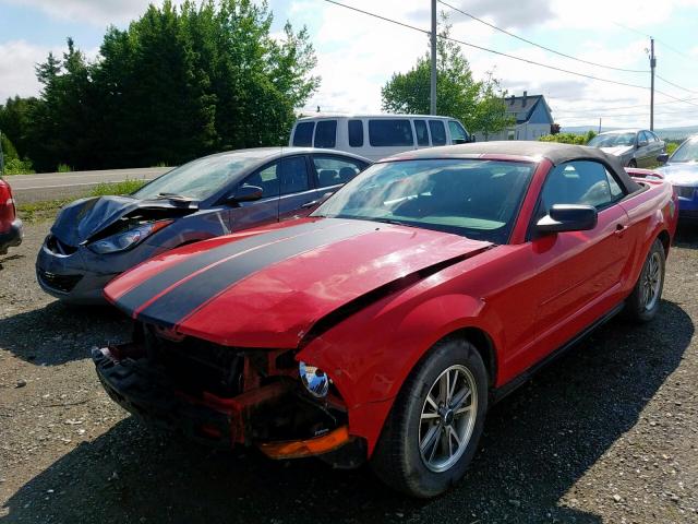 1ZVFT84N355199994 - 2005 FORD MUSTANG RED photo 2