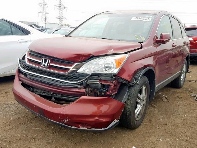 5J6RE3H76AL036930 - 2010 HONDA CR-V EXL RED photo 2