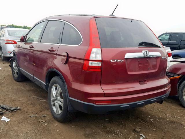 5J6RE3H76AL036930 - 2010 HONDA CR-V EXL RED photo 3