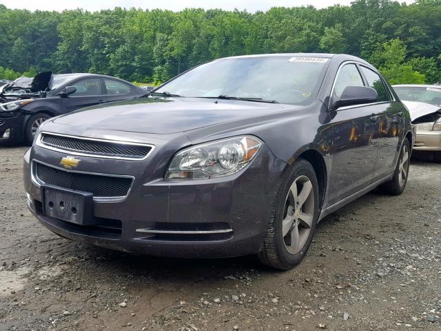 1G1ZC5E18BF328997 - 2011 CHEVROLET MALIBU 1LT GRAY photo 2