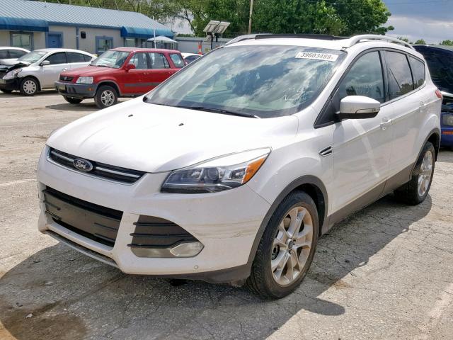 1FMCU9JX9EUA84395 - 2014 FORD ESCAPE TIT WHITE photo 2