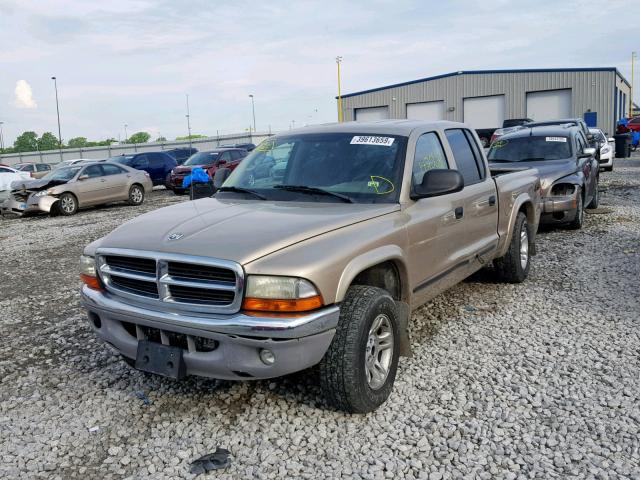 1D7HG48N83S158056 - 2003 DODGE DAKOTA QUA BEIGE photo 2