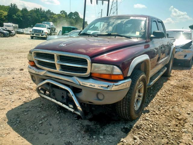 1B7GG2ANX1S159548 - 2001 DODGE DAKOTA QUA MAROON photo 2