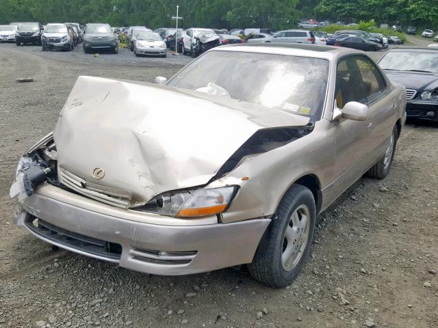 JT8BF12G9T0130093 - 1996 LEXUS ES 300 TAN photo 2