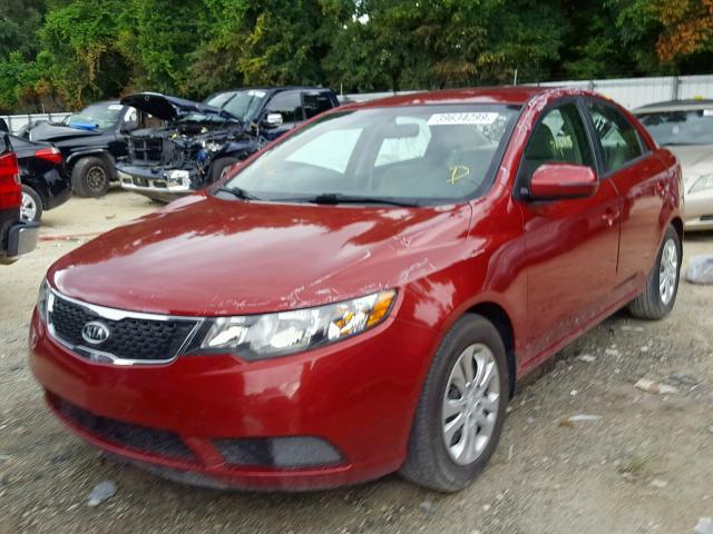 KNAFU4A28B5459611 - 2011 KIA FORTE EX BURGUNDY photo 2