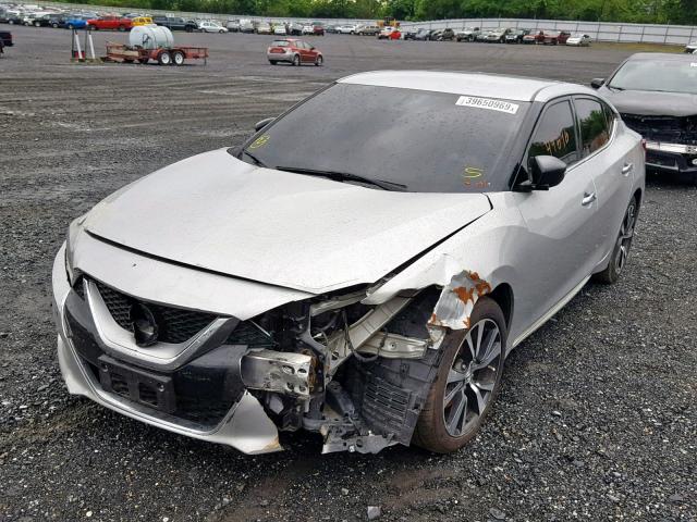 1N4AA6AP6HC414917 - 2017 NISSAN MAXIMA 3.5 SILVER photo 2