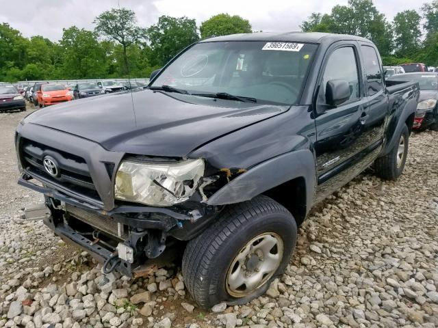 5TEUU42N55Z135696 - 2005 TOYOTA TACOMA ACC შავი ფოტო 2