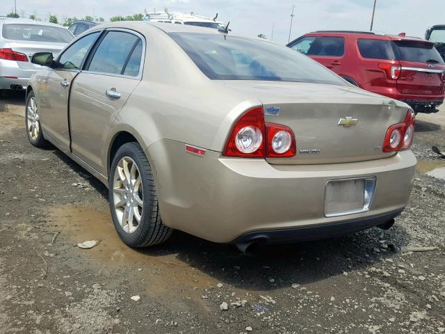 1G1ZK57708F275600 - 2008 CHEVROLET MALIBU LTZ ოქროსფერი ფოტო 3