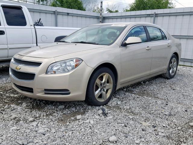 1G1ZC5EB7AF234679 - 2010 CHEVROLET MALIBU 1LT GOLD photo 2