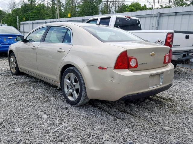 1G1ZC5EB7AF234679 - 2010 CHEVROLET MALIBU 1LT GOLD photo 3