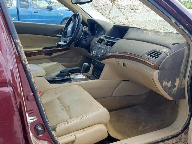 1HGCP26808A117084 - 2008 HONDA ACCORD EXL MAROON photo 5