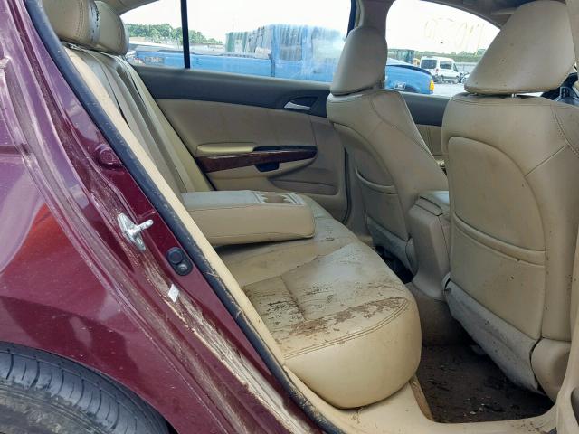 1HGCP26808A117084 - 2008 HONDA ACCORD EXL MAROON photo 6