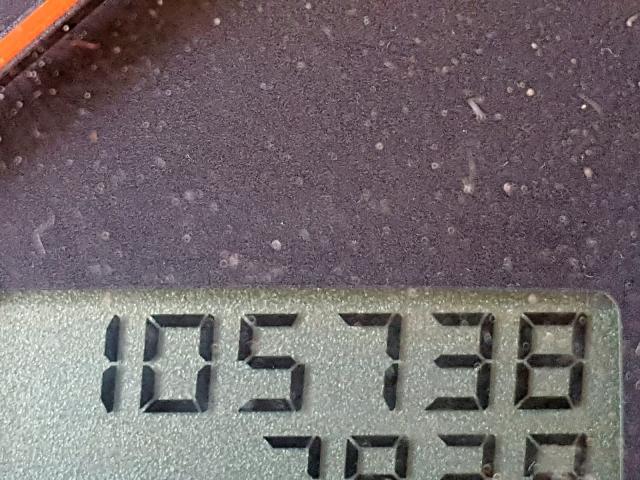 WVWRH63B03P115273 - 2003 VOLKSWAGEN PASSAT GLX 绿色 照片 8