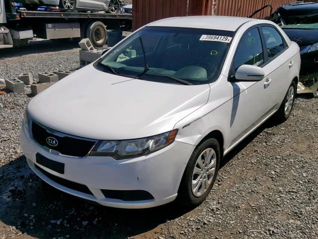 KNAFU4A29C5533247 - 2012 KIA FORTE EX WHITE photo 2