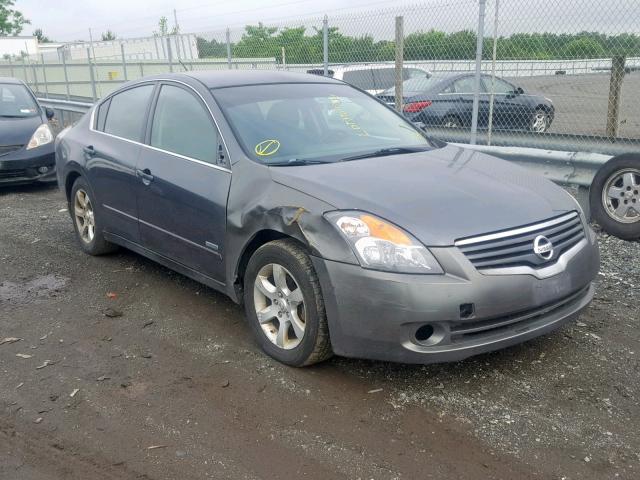 1N4CL21E09C182827 - 2009 NISSAN ALTIMA HYB GRAY photo 1