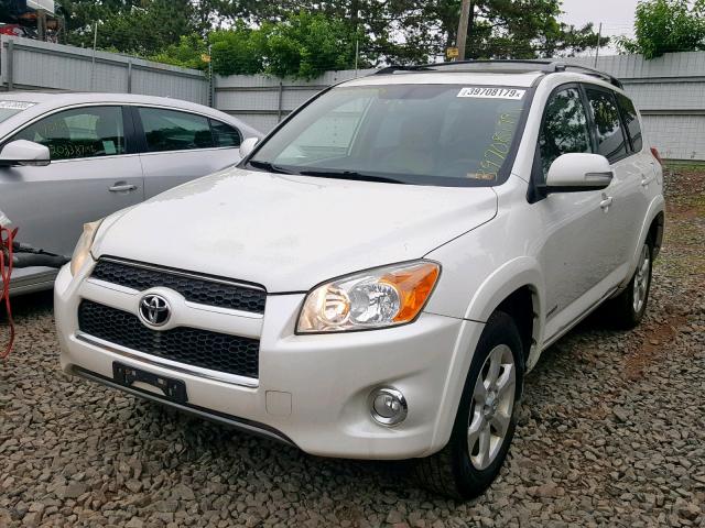 JTMDF4DV4A5022780 - 2010 TOYOTA RAV4 LIMIT WHITE photo 2