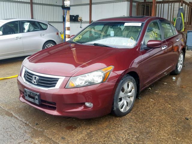 1HGCP36869A010614 - 2009 HONDA ACCORD EXL MAROON photo 2