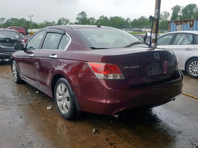 1HGCP36869A010614 - 2009 HONDA ACCORD EXL MAROON photo 3