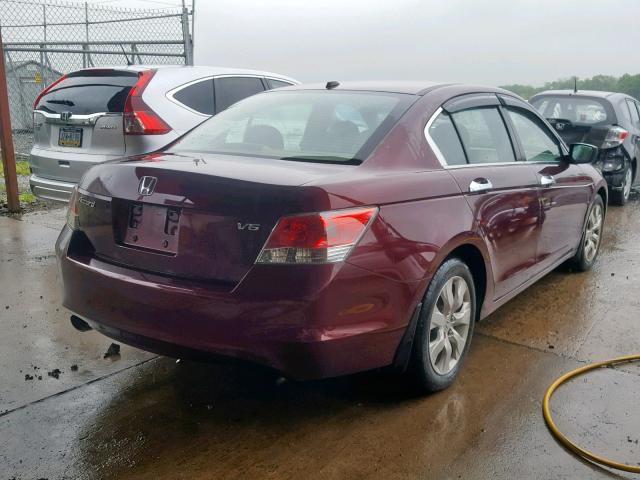 1HGCP36869A010614 - 2009 HONDA ACCORD EXL MAROON photo 4