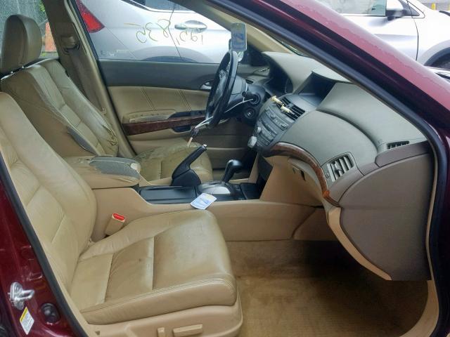 1HGCP36869A010614 - 2009 HONDA ACCORD EXL MAROON photo 5