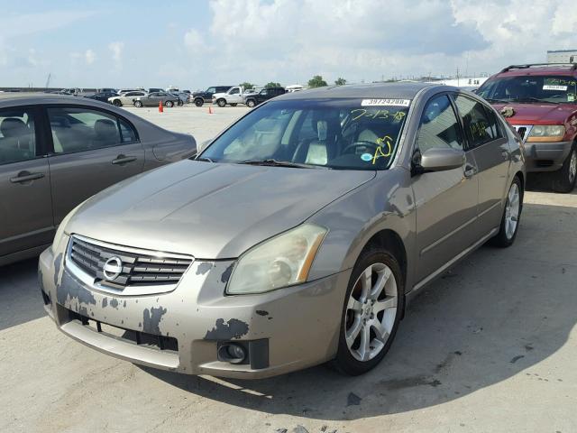 1N4BA41E88C816705 - 2008 NISSAN MAXIMA SE GOLD photo 2