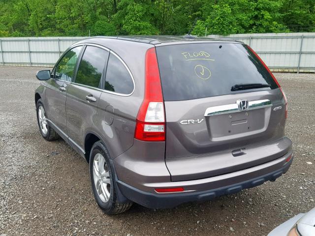 5J6RE4H77AL076035 - 2010 HONDA CR-V EXL BROWN photo 3