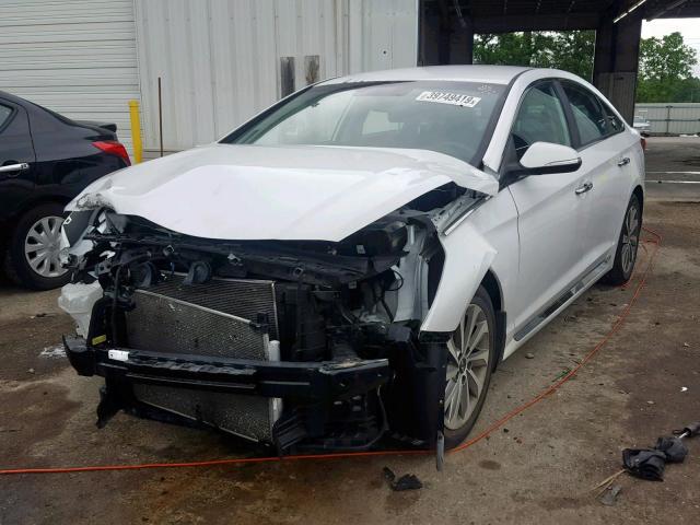 5NPE34AF5FH046930 - 2015 HYUNDAI SONATA SPO WHITE photo 2