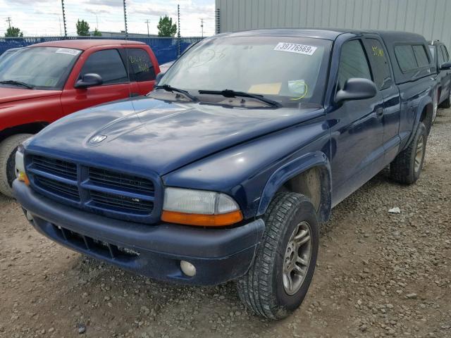 1D7HG32N43S237145 - 2003 DODGE DAKOTA SPO BLUE photo 2