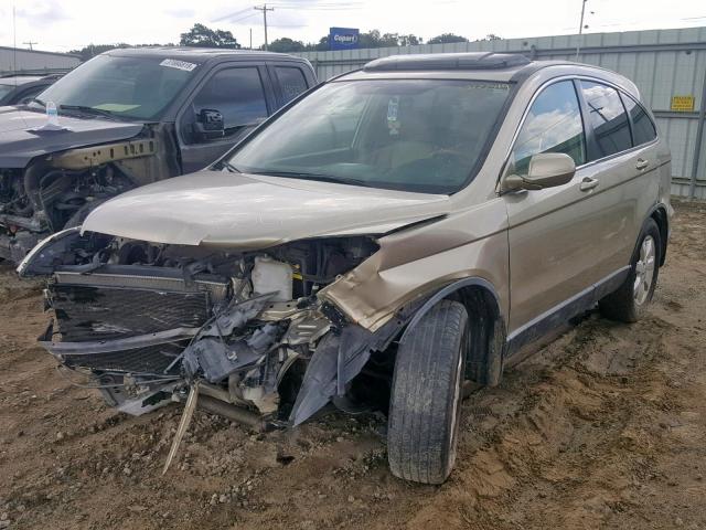 JHLRE38757C028433 - 2007 HONDA CR-V EXL GOLD photo 2