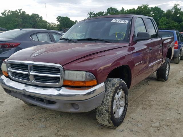 1B7HG2AXX1S255315 - 2001 DODGE DAKOTA QUA MAROON photo 2