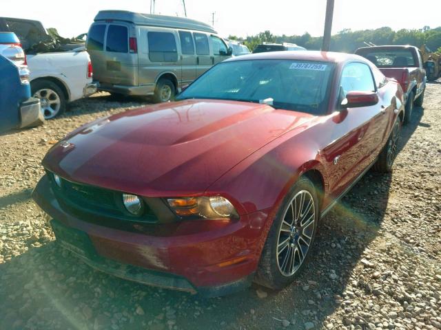 1ZVBP8CH2A5118721 - 2010 FORD MUSTANG GT RED photo 2