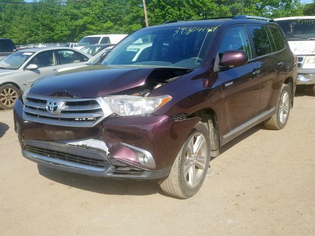 5TDDK3EH2DS243954 - 2013 TOYOTA HIGHLANDER PURPLE photo 2