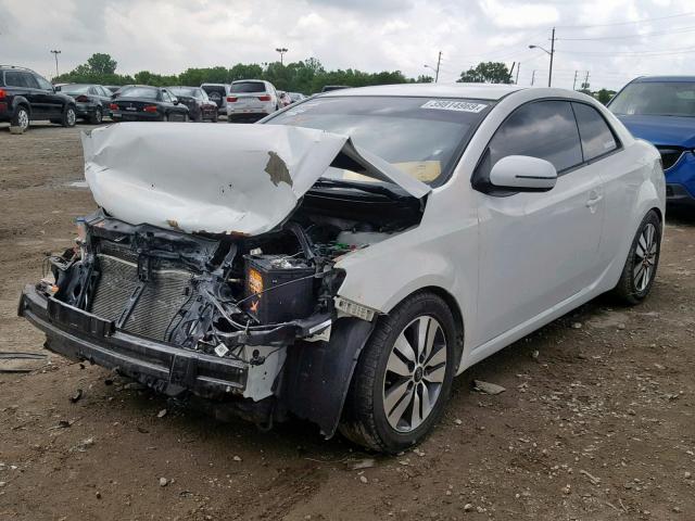 KNAFU6A29D5742906 - 2013 KIA FORTE EX WHITE photo 2