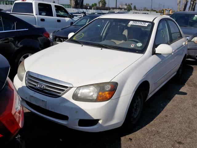 KNAFE222195668280 - 2009 KIA SPECTRA EX WHITE photo 2