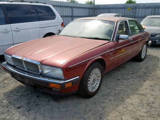 SAJMX1348RC689588 - 1994 JAGUAR XJ12 MAROON photo 2