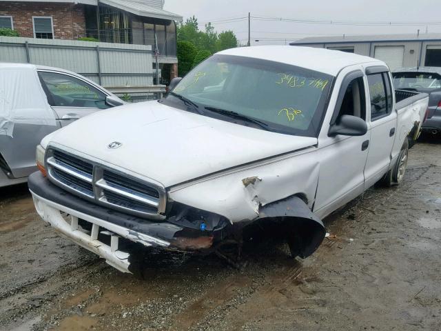 1D7HL38K64S729587 - 2004 DODGE DAKOTA QUA WHITE photo 2