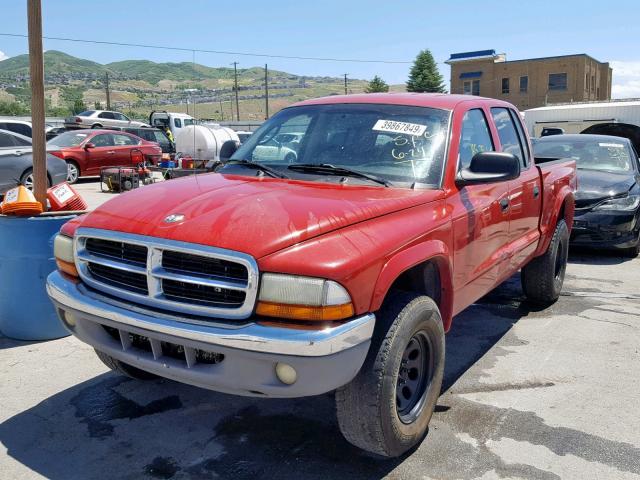 1B7HG48N32S681753 - 2002 DODGE DAKOTA QUA RED photo 3