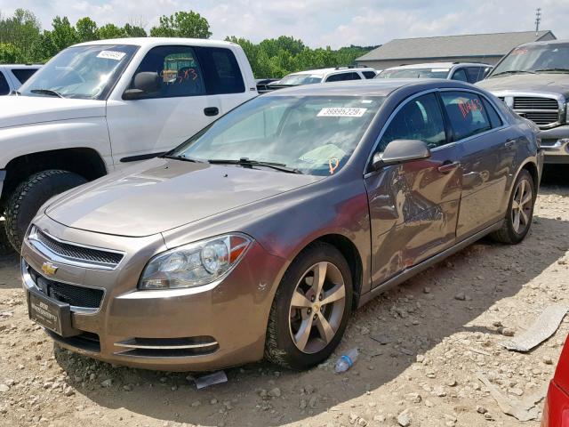 1G1ZC5E16BF251529 - 2011 CHEVROLET MALIBU 1LT 棕色 照片 2