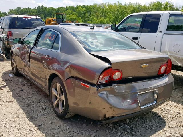 1G1ZC5E16BF251529 - 2011 CHEVROLET MALIBU 1LT 棕色 照片 3