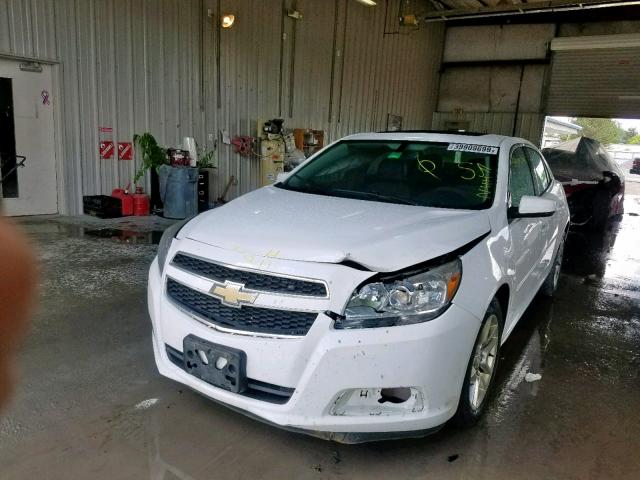1G11C5SA6DF192566 - 2013 CHEVROLET MALIBU 1LT 白色 照片 2