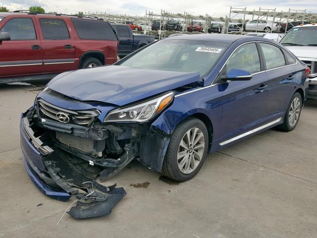 5NPE34AF0FH124062 - 2015 HYUNDAI SONATA SPO BLUE photo 2