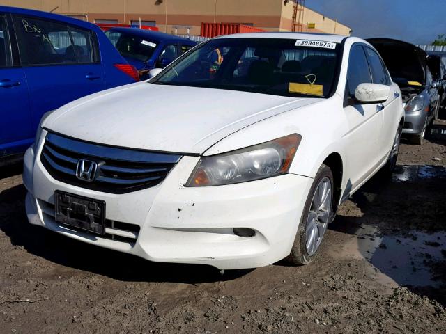 1HGCP3F82BA800093 - 2011 HONDA ACCORD EXL WHITE photo 2