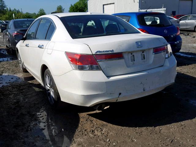 1HGCP3F82BA800093 - 2011 HONDA ACCORD EXL WHITE photo 3