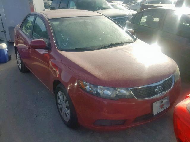 KNAFU4A24D5726567 - 2013 KIA FORTE EX RED photo 1