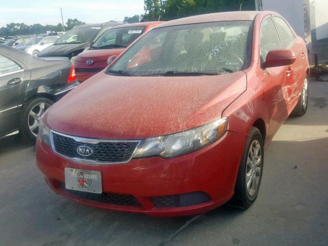 KNAFU4A24D5726567 - 2013 KIA FORTE EX RED photo 2