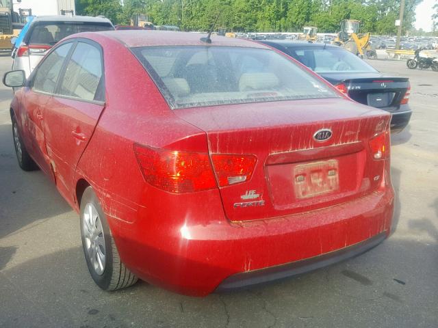 KNAFU4A24D5726567 - 2013 KIA FORTE EX RED photo 3