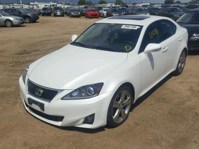 JTHBF5C26C5159600 - 2012 LEXUS IS 250 WHITE photo 2