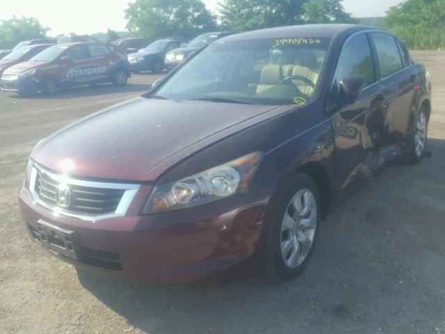 1HGCP26808A156631 - 2008 HONDA ACCORD EXL BURGUNDY photo 2